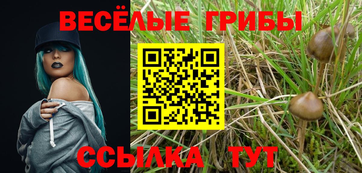 Алексин  Галлюциногенные грибы мухоморы  Вход с VPN 