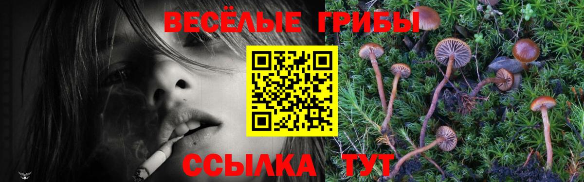 Галлюциногенные грибы GOLDEN TEACHER Алексин